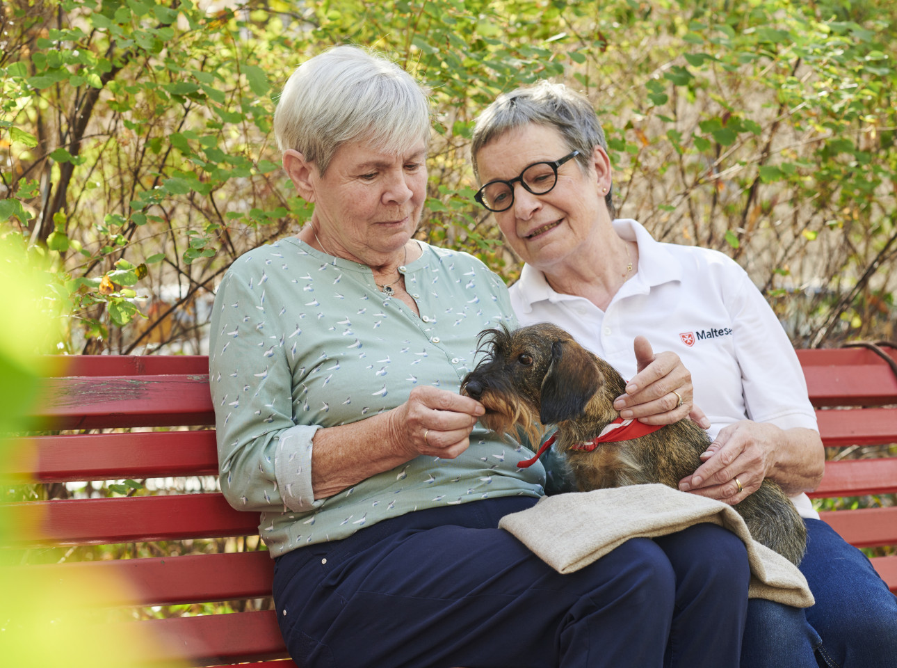 Malteser-Besuchs-und-Begleitungsdienste.jpg